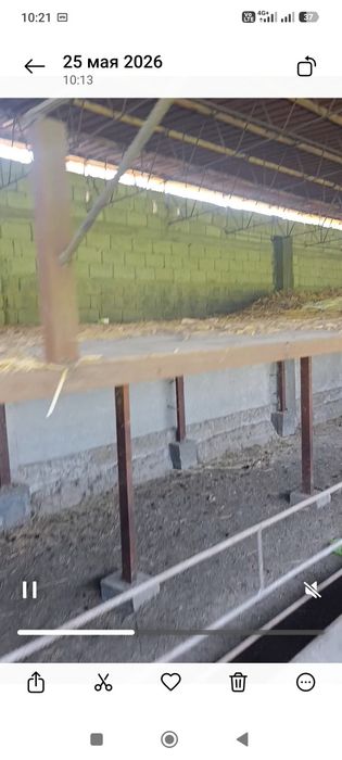Янгийул ИСЛОХАТ да 25 сутих кадастрли турар жой сотилади