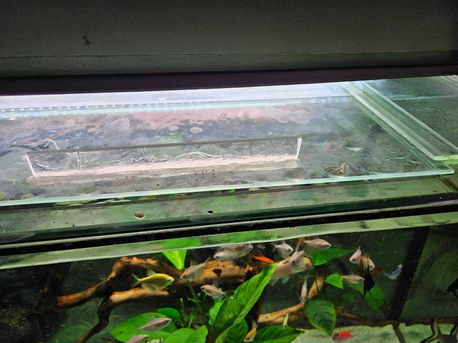 Продавам АКВАРИУМ -140литра