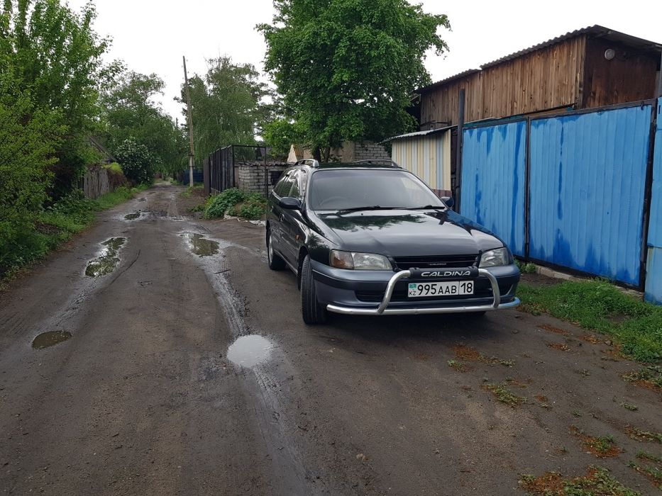 Продам калдину отс