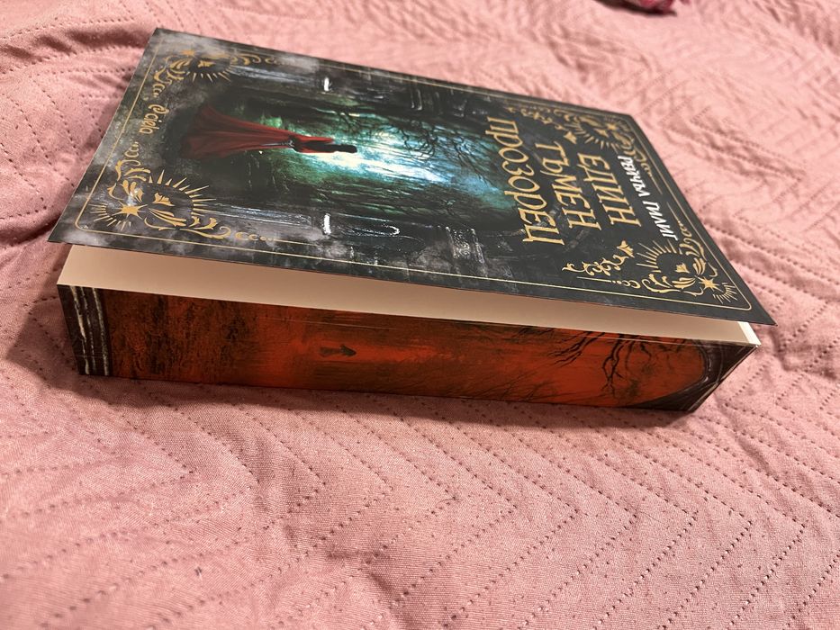 Един тъмен прозорец от Рейчъл Гилиг