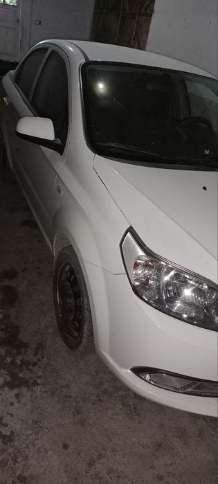 Moshina xolati alo