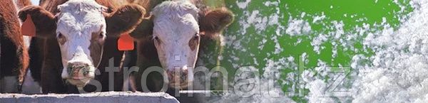 Соль кормовая, озёрная