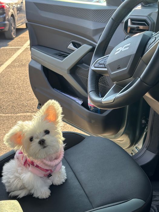 Dacia Duster 2025 • Extreme • ECO-G • 5 месеца • Като Нов