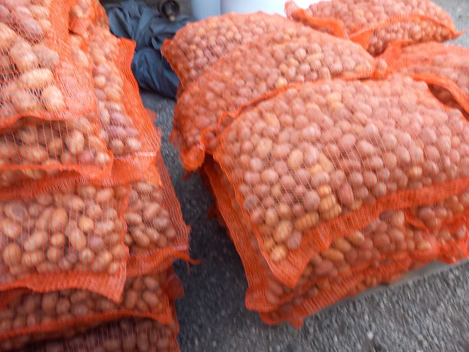 cartofi pt. animale  sortat si ambalat recent