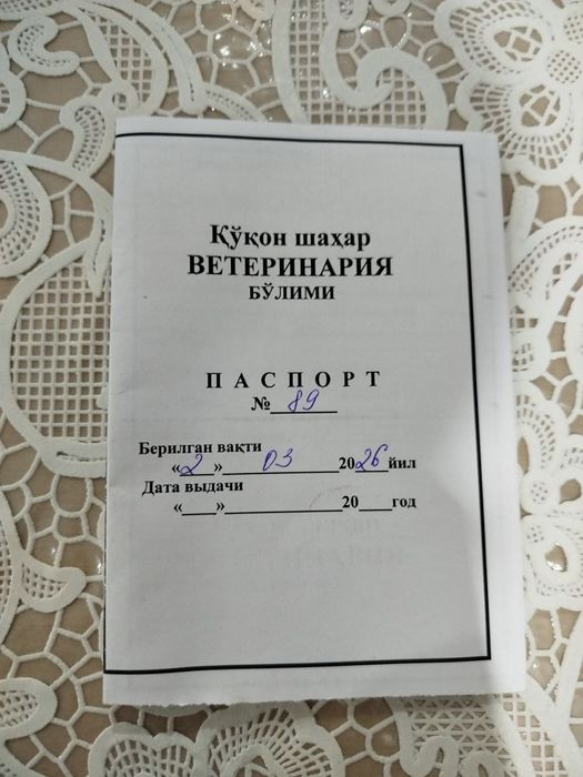 Mushukcha  aqlli , ovqatga oʻrgangan, emlangan, pasaporti bor ,