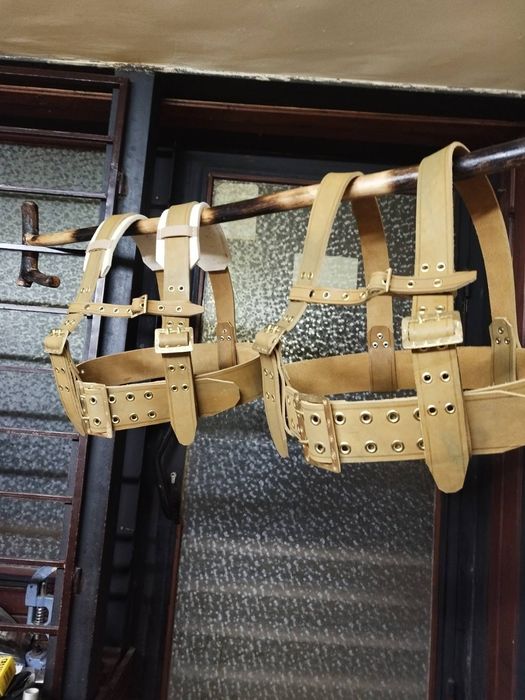 Чанове/ кукерски колани