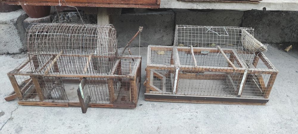 Клетка ,катаклар