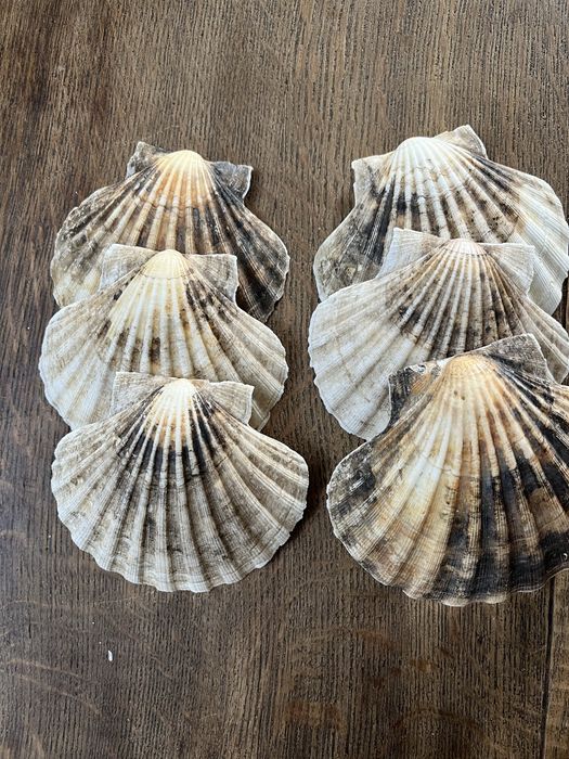 Оргинални миди за гурме 15€