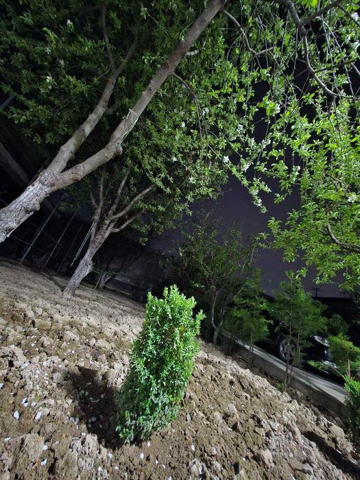 Nazarbek Tekstil Xovli 6 sotix Tayyor uy