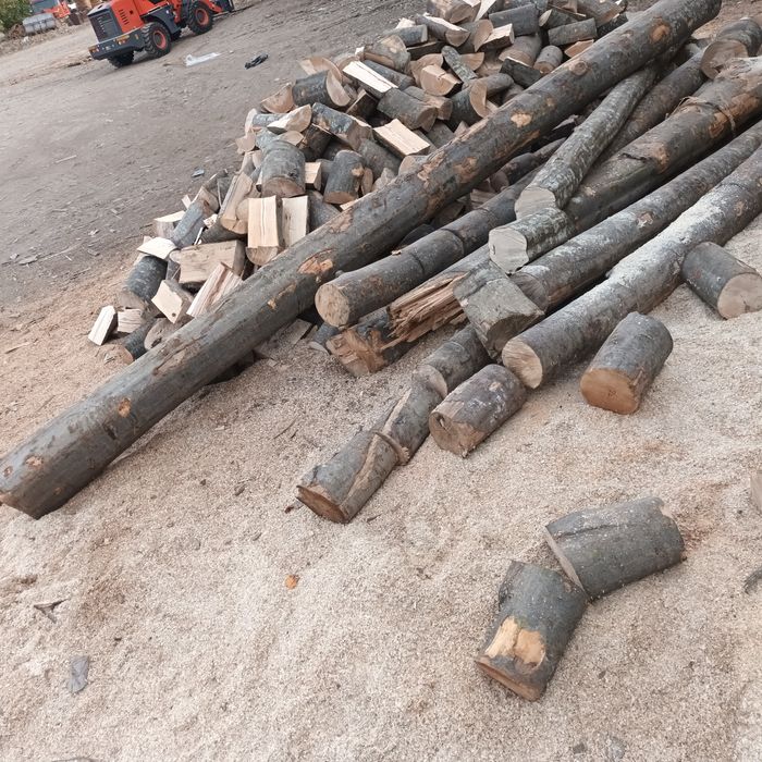 Lemne de foc fag capete uscate uscate sau verzi 600.lei tona