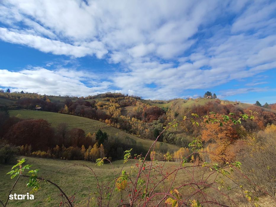 Teren Poiana Marului 4 euro/mp pretabil investitie