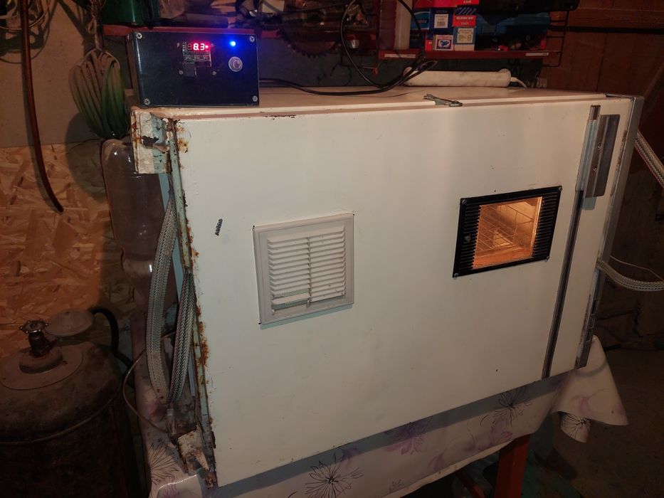 Инкубатор домашний