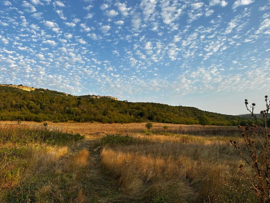 Парцел в село разделна