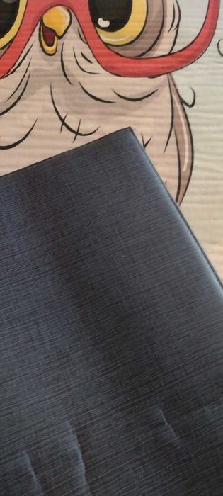 Детски Килим с Бухалчета