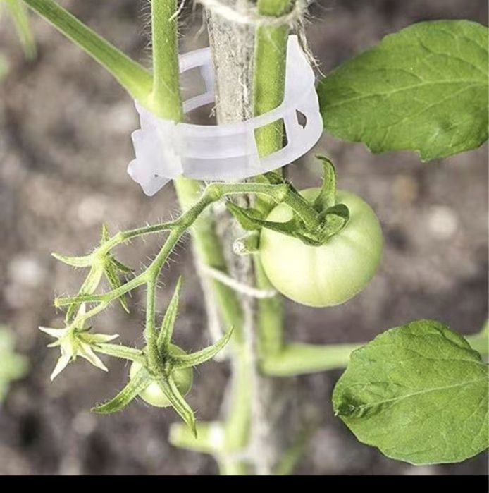 Құстарга су жем беретін ыдыс