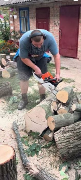 Дарахт кесиш буталаш бензапила хизмати Газон Ланшафт