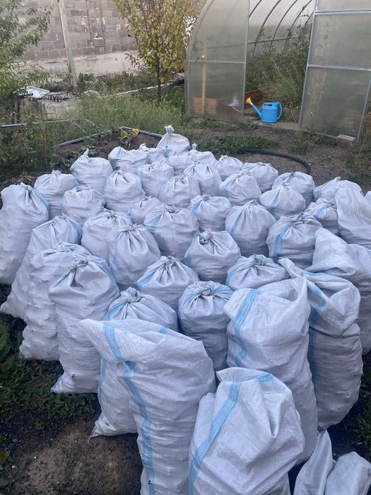 Уголь в мешках (Шубаркуль)