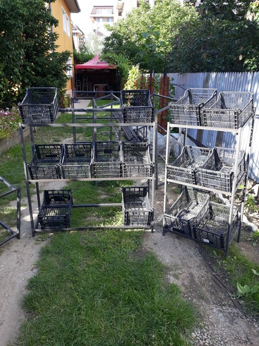 Raft legume fructe diverse