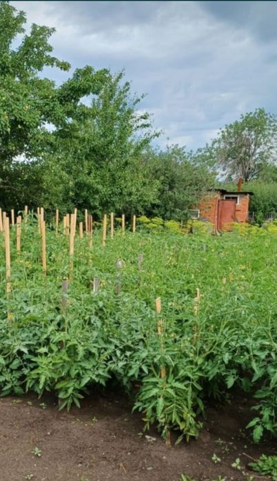 Продам дачу в Рудном