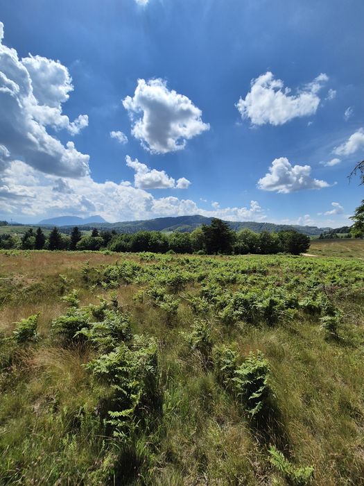 Teren Superb de Vânzare în Holbav, Jud. Brașov - 3546 mp, PUZ în Lucru