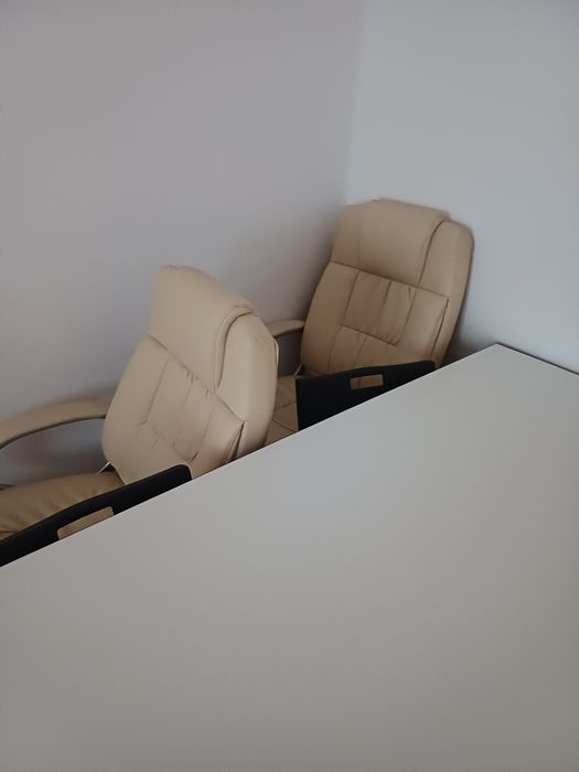 Scaun fotoliu directoral