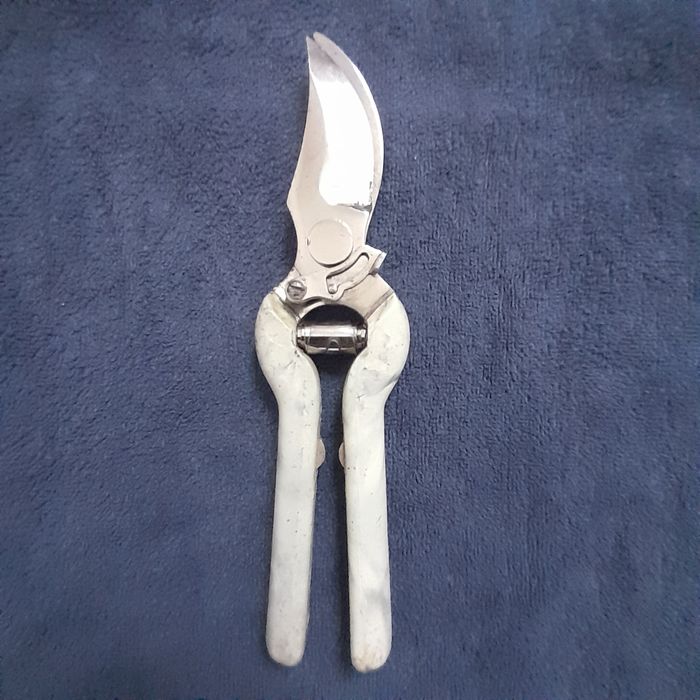 Токкайчи сотилади