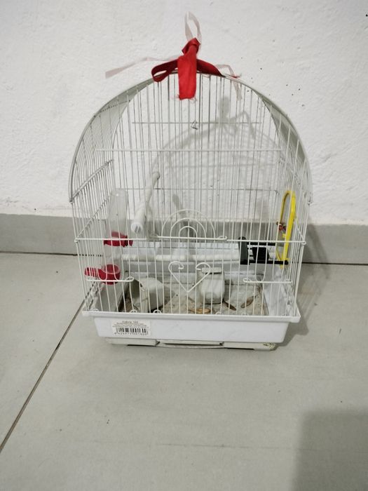 Colivie echipata complet