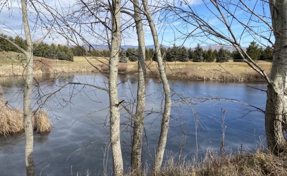 Продава парцел в Равно поле