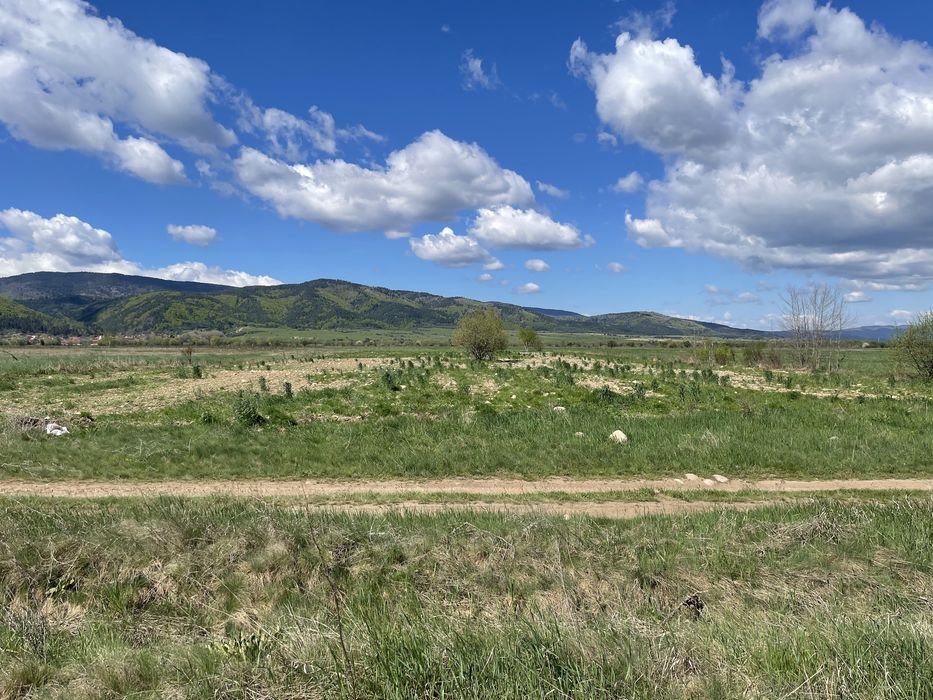 Продава се Земеделски имот в Самоков -  кв.м за 8 €/дка - Снимка #4