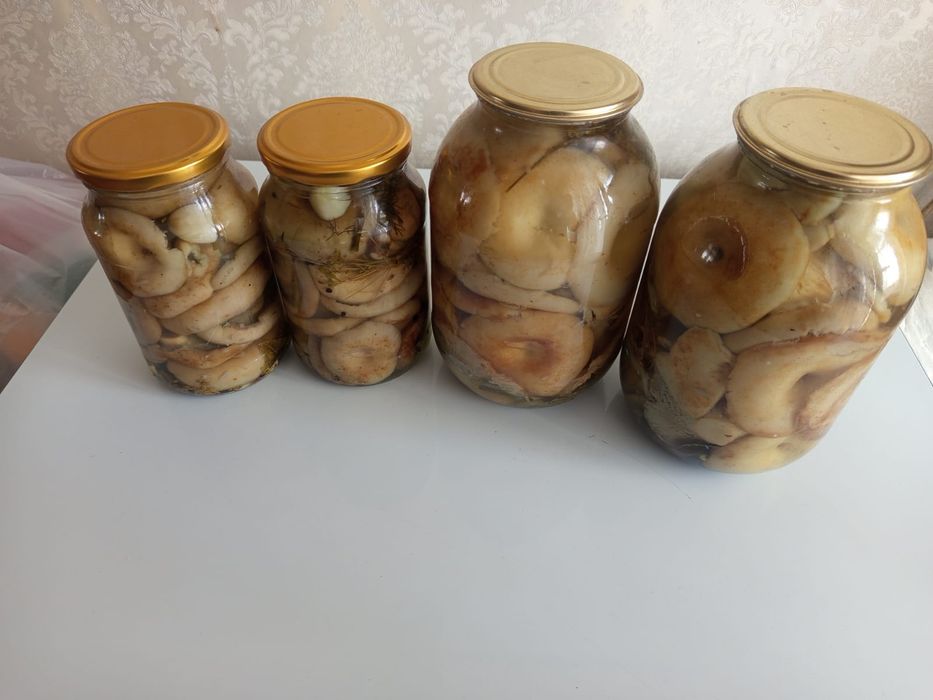 Продам соленые грибы