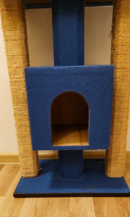 Ansamblu joaca pisici