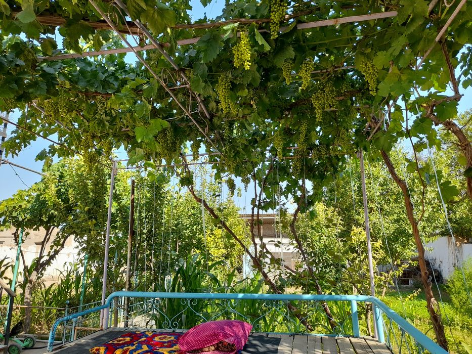 Дача металлург (Мисгарлар нафис 26