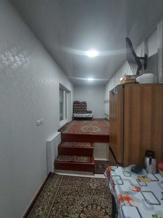 Беруний професорский   3/3/4   чистый срочно