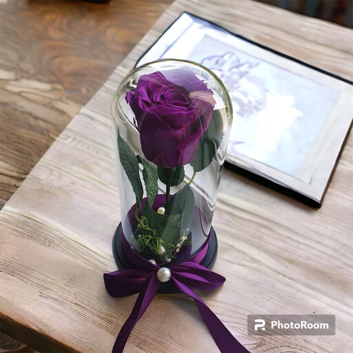 Trandafir mov in cupola cristalina de 17-20-25 cm