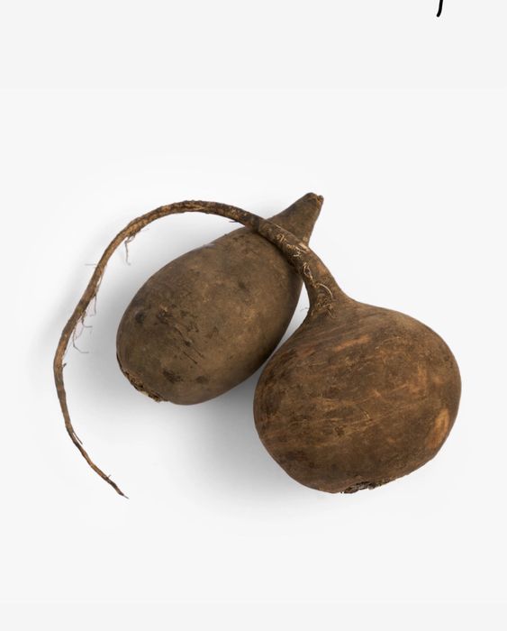 Продаю черную редьку