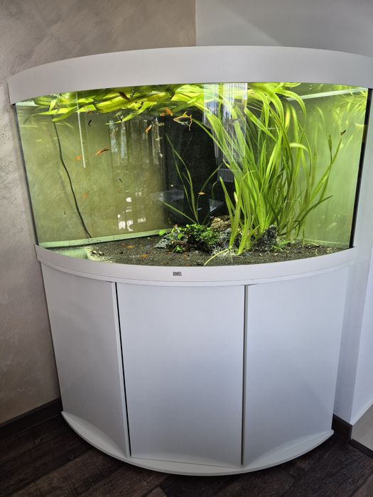 Acvariu Juwel 350 led