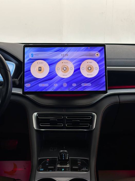 Bugun sotuvimizda byd champion 2024