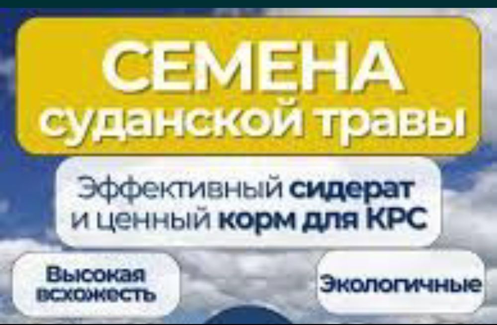 Прожаю семена суданской травы