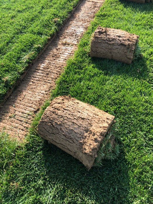 Ландшафтный дизайн ва газон урнатиш