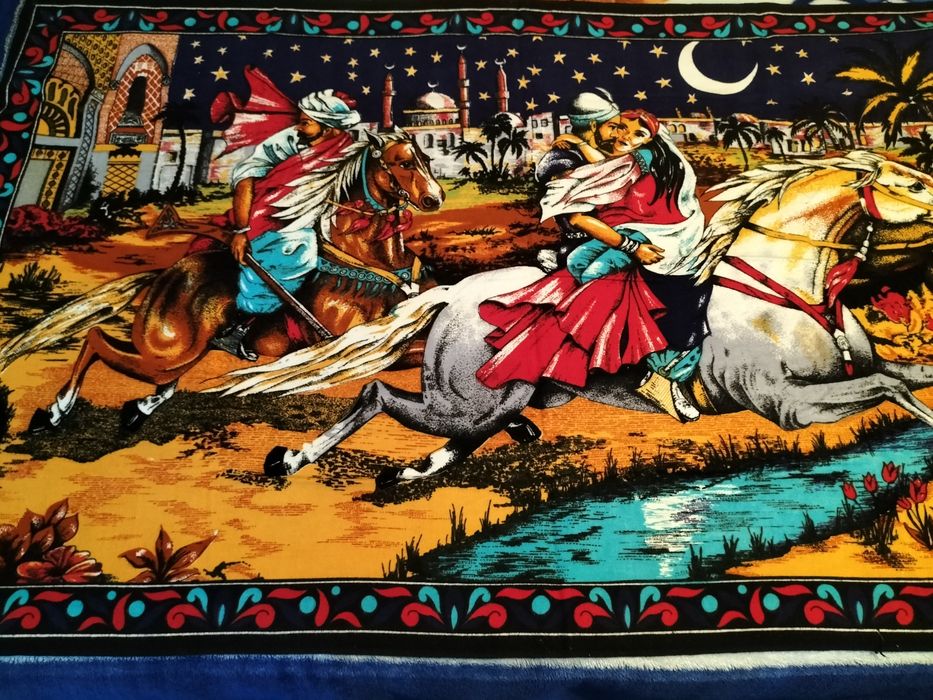 Vând carpetă  de perete