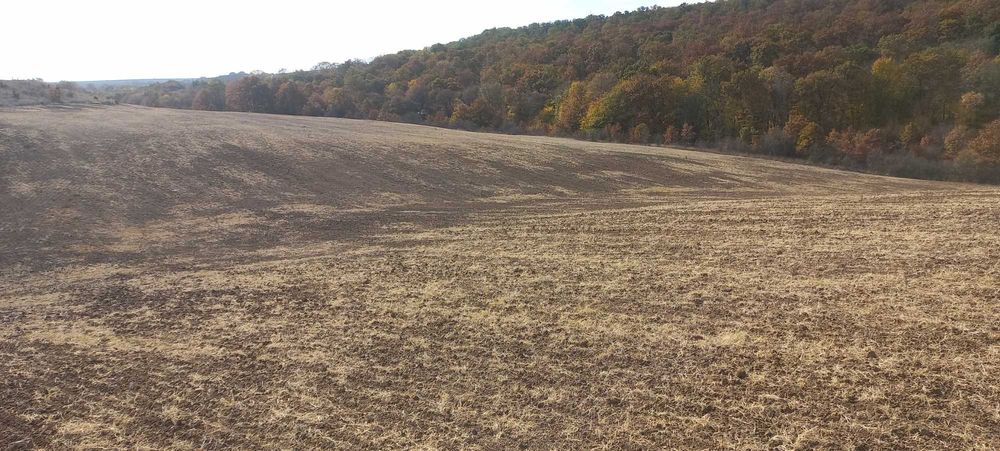 Земеделска земя с.Зорница общ.Аксаково, обл.Варна