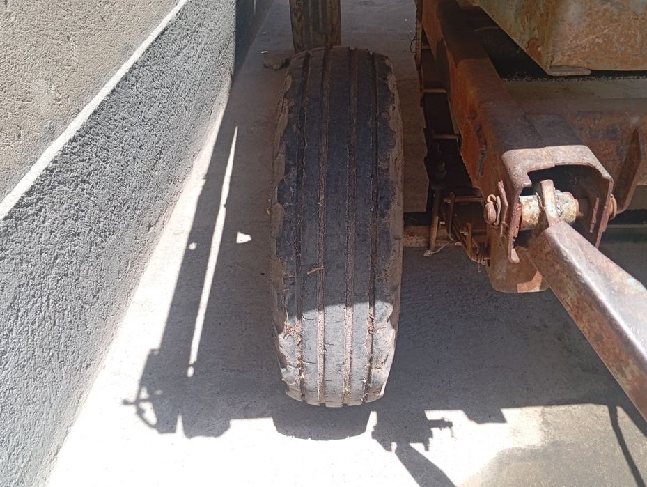 Тличка холати зур