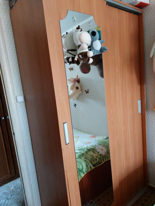 Продам шияонер45000