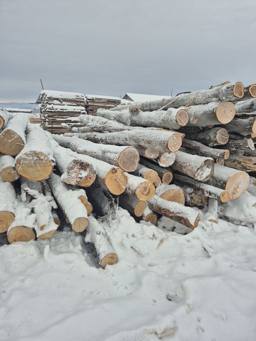 Lemne de foc uscate /verzi