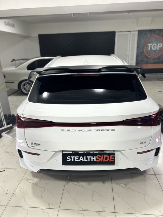 BYD e2 Spoiler Спойлер. Антикрыло Хвост Individual