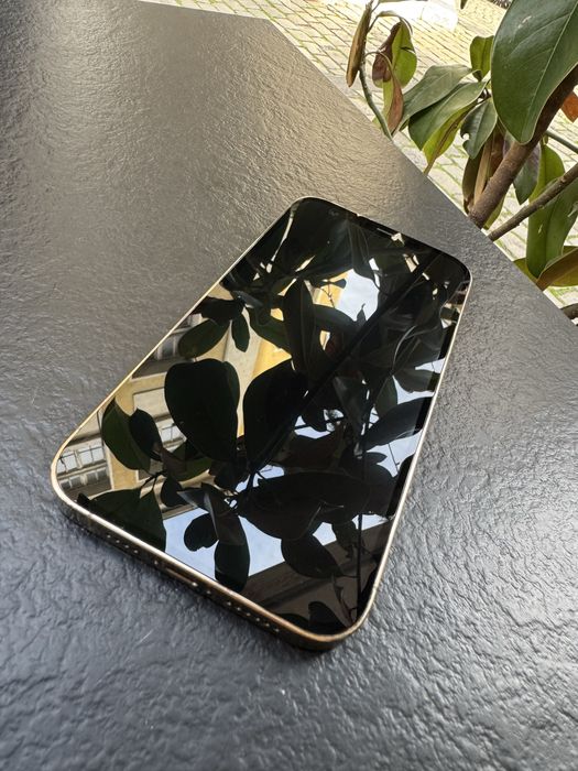 iPhone 12 Pro Max 128GB | 100% Батерия | ТОП СЪСТОЯНИЕ | Отключен