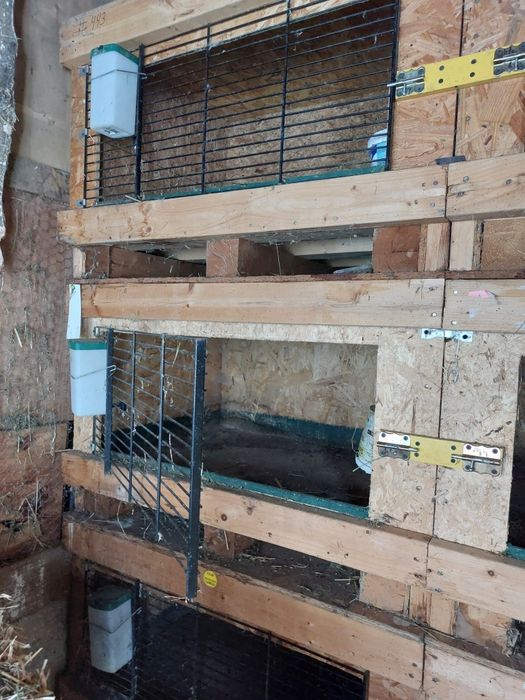 Cuști pentru iepuri