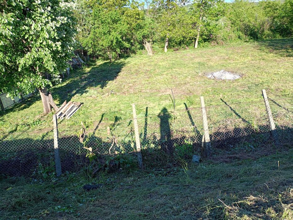 Vand teren Intravilan + Casă - Mai multe