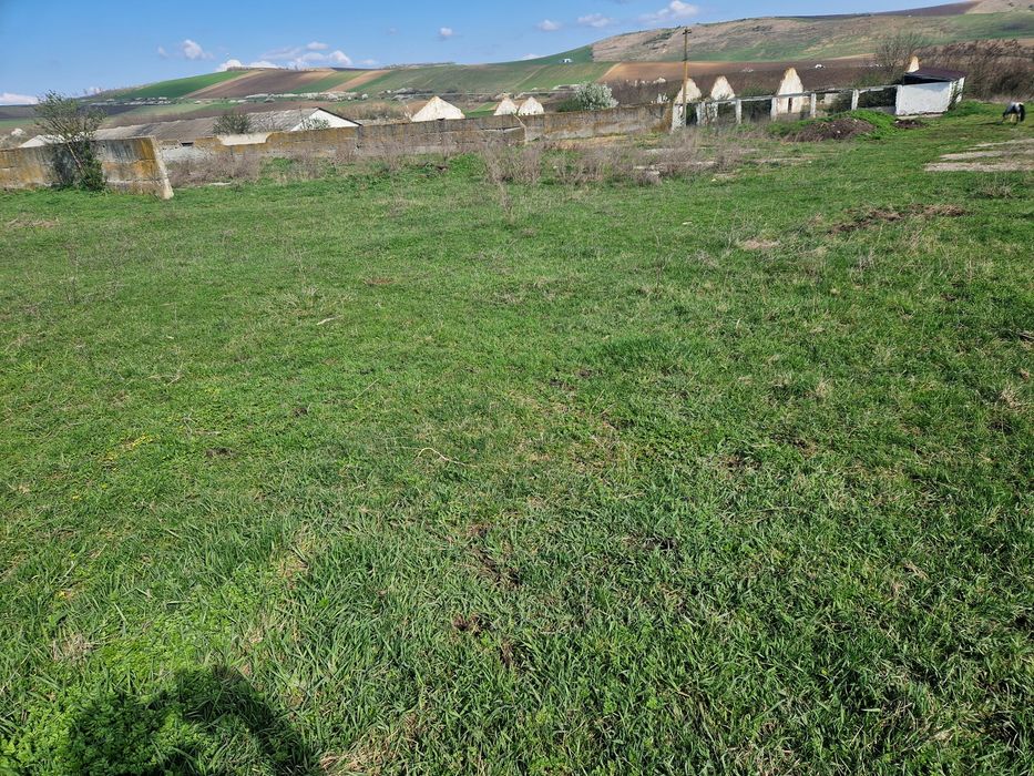 Vand ferma cu teren intravilan cu toate utilitatile  Suprafata util