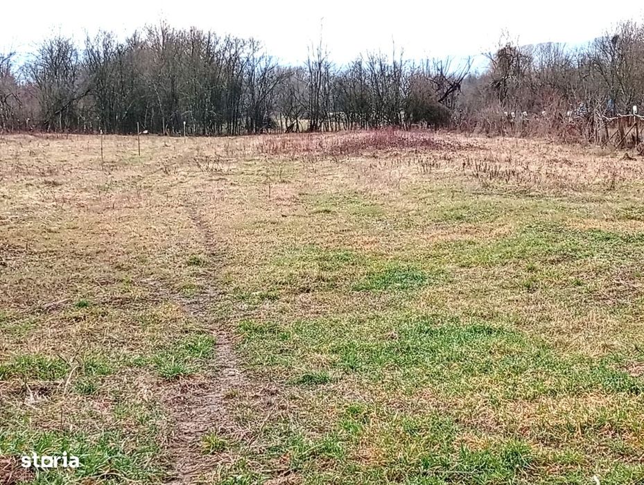 Loc de casa in Pescari